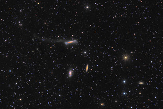 The Leo Triplet - M65, M66,  NGC 3628 and its Tidal Tail