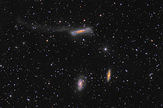 Cropped Version of  Leo Triplet - M65, M66,  NGC 3628 and its Tidal Tail