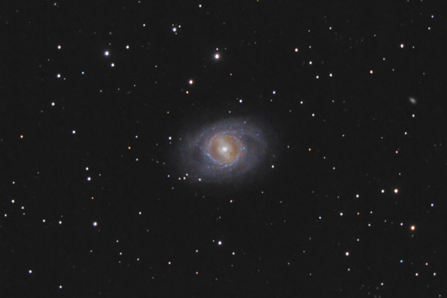 M95 - A Ringed Barred Spiral Galaxy in Leo