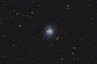 NGC 3344 - A Face-on Barred Spiral Galaxy in Leo Minor