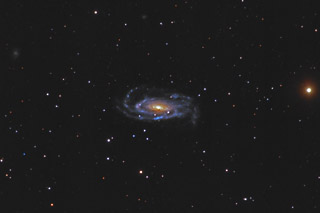 NGC 5033 - The Octopus Galaxy in Canes Venatici