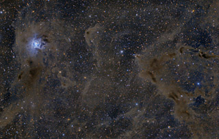 The Iris Nebula, LBN 468, and HH 215 in Cepheus